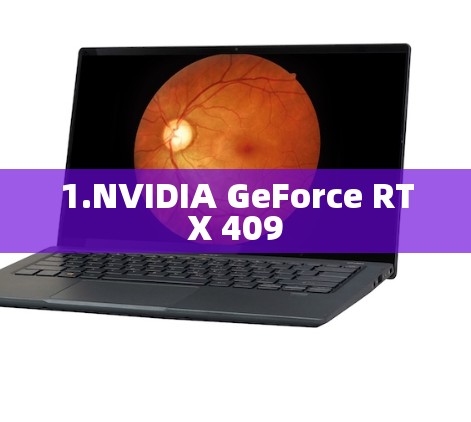 1.NVIDIA GeForce RTX 409 1.NVIDIA GeForce RTX 409