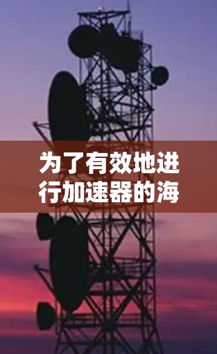 为了有效地进行加速器的海外访问测试，可以按照以下步骤进行