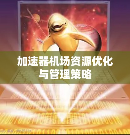 加速器机场资源优化与管理策略 加速器机场资源优化与管理策略
