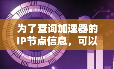 为了查询加速器的IP节点信息，可以按照以下步骤进行操作