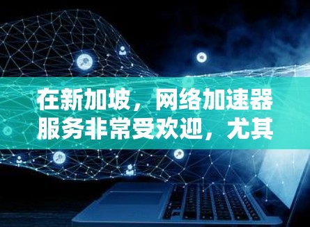 在新加坡，网络加速器服务非常受欢迎，尤其对于需要快速访问国内外资源或优化网络性能的用户。以下是一些推荐的网络加速器服务提供商和节点