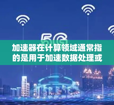 加速器在计算领域通常指的是用于加速数据处理或计算任务的硬件或软件。例如，GPU（图形处理器）常被用于加速计算密集型任务，如机器学习和数据分析。服务器上的加速器可以帮助提高计算效率，缩短处理时间