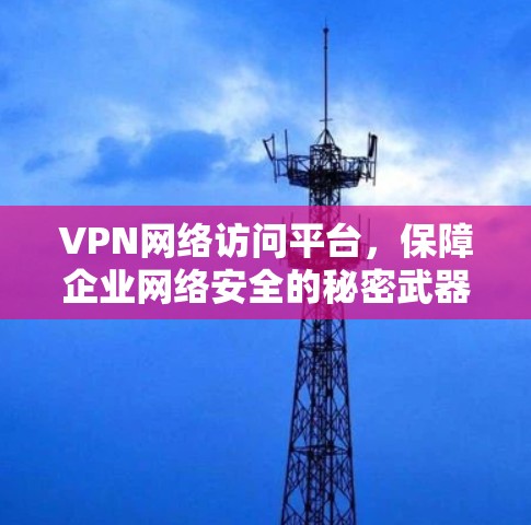 VPN网络访问平台，保障企业网络安全的秘密武器