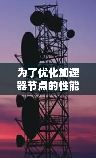 为了优化加速器节点的性能，可以按照以下步骤进行