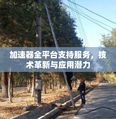 加速器全平台支持服务，技术革新与应用潜力