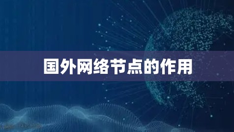 国外网络节点的作用