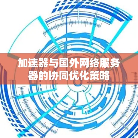加速器与国外网络服务器的协同优化策略