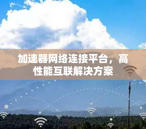 加速器网络连接平台，高性能互联解决方案