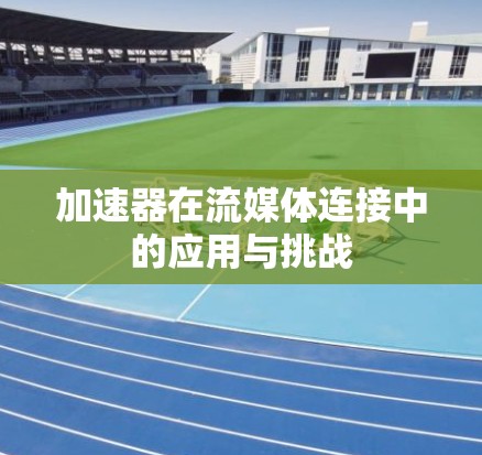 加速器在流媒体连接中的应用与挑战