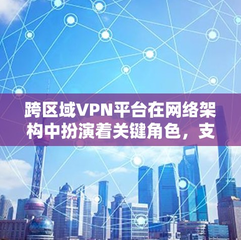 跨区域VPN平台在网络架构中扮演着关键角色，支持用户在不同区域间安全、稳定地访问内部资源。以下是对跨区域VPN平台的详细分析