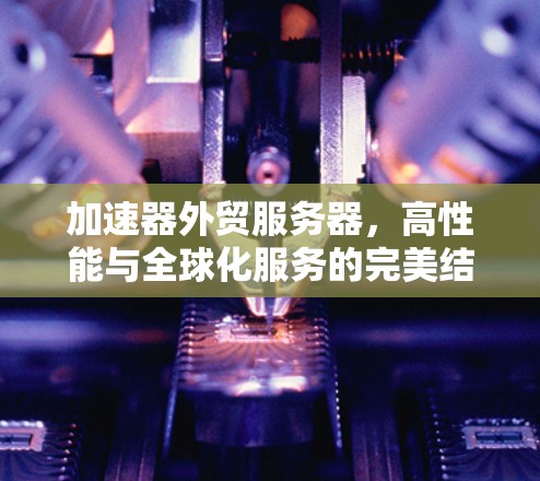 加速器外贸服务器，高性能与全球化服务的完美结合