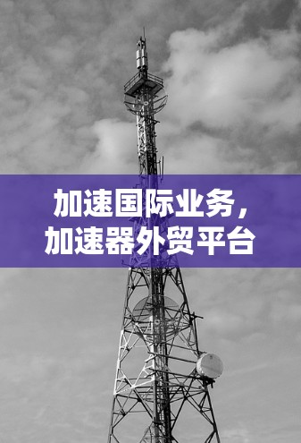加速国际业务，加速器外贸平台访问的技术与商业突破