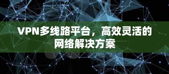 VPN多线路平台，高效灵活的网络解决方案