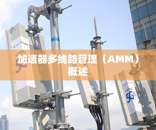 加速器多线路管理（AMM）概述