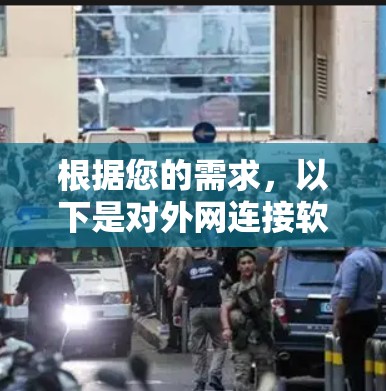 根据您的需求，以下是对外网连接软件的推荐和选择建议