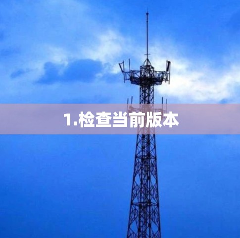 1.检查当前版本