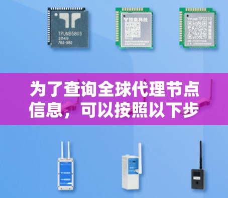 为了查询全球代理节点信息，可以按照以下步骤进行