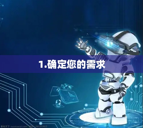 1.确定您的需求