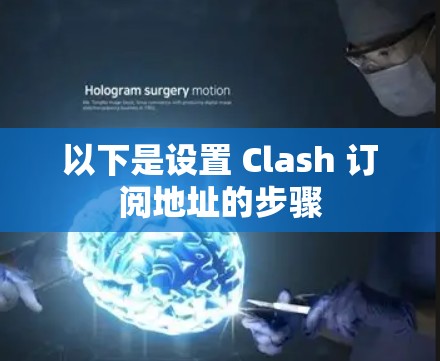 以下是设置 Clash 订阅地址的步骤