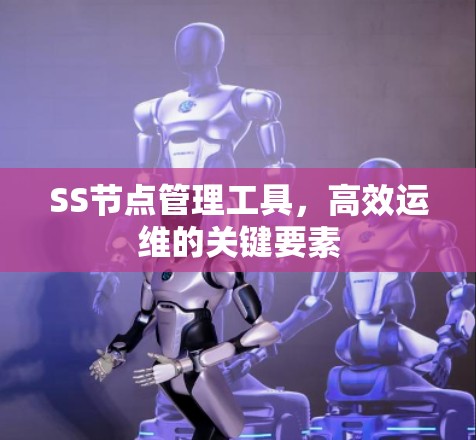 SS节点管理工具，高效运维的关键要素