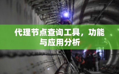 代理节点查询工具，功能与应用分析