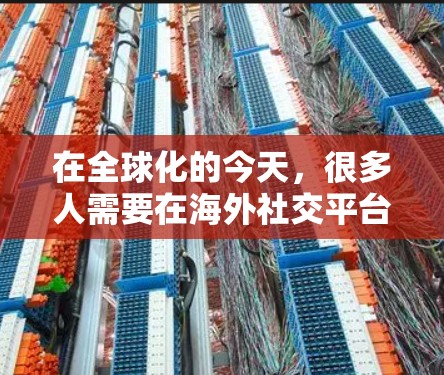 在全球化的今天，很多人需要在海外社交平台上与朋友、同事或客户保持联系。选择合适的社交软件是确保你能够顺畅地与他们互动的关键。以下是一些常用的海外社交平台连接软件，帮助你轻松保持联系