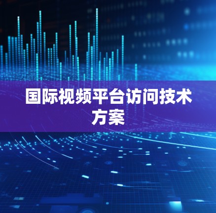 国际视频平台访问技术方案