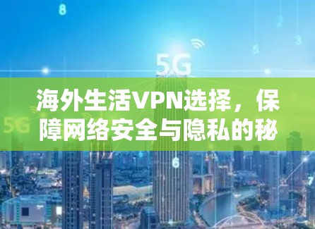 海外生活VPN选择，保障网络安全与隐私的秘密武器