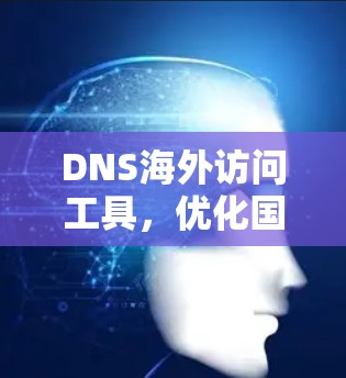 DNS海外访问工具，优化国际网络性能