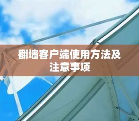 翻墙客户端使用方法及注意事项